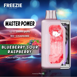 FREEZIE 20000 BLUEBERRY SOUR RASPBERRY (10PCS)