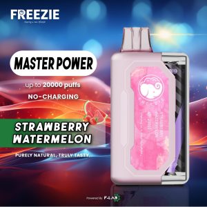 FREEZIE 20000 STRAWBERRY WATERMELON (10PCS)