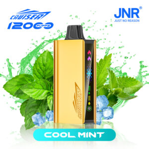 JNR Cruiser 12000PUFFS Strawberry Cool Mint