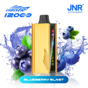 JNR Cruiser 12000PUFFS Strawberry Blueberry Blast