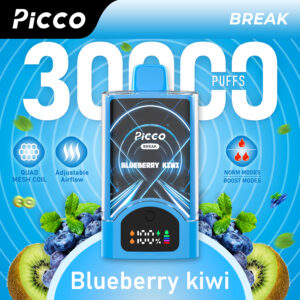 Picco BREAK 30000PUFFS Blueberry Kiwi