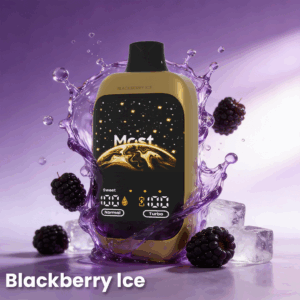 Double Happines Action 12000PUFFS Blackberry Ice