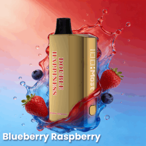 Double Happines Hype 12000PUFFS Blueberry Raspberry