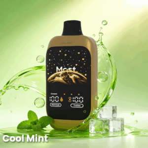 Double Happines Action 12000PUFFS Cool Mint